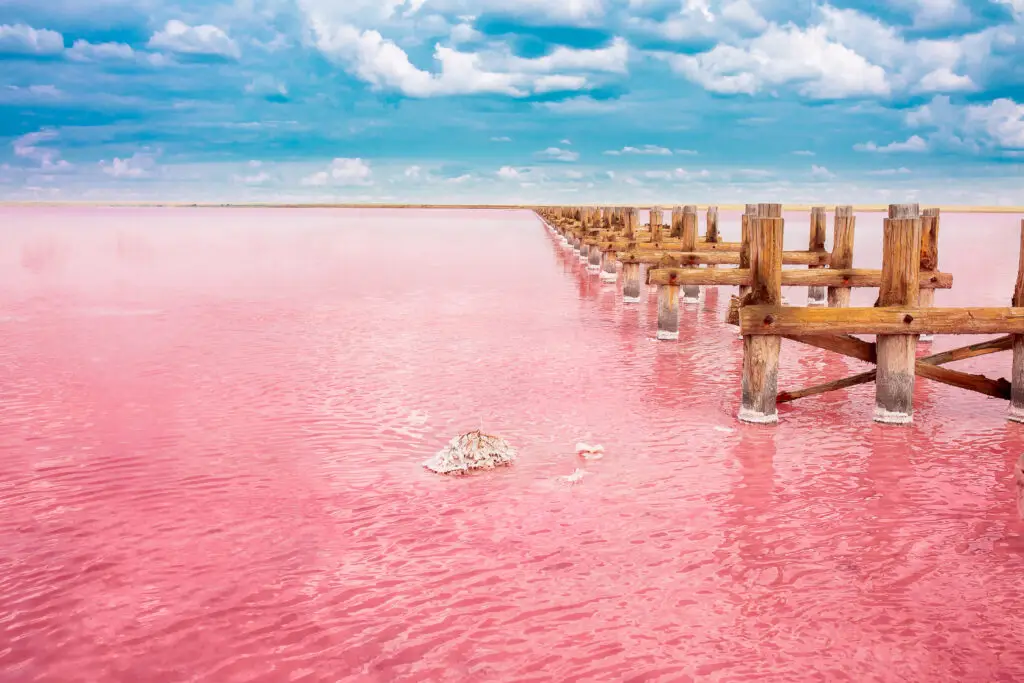 pink lake for beautiful travel