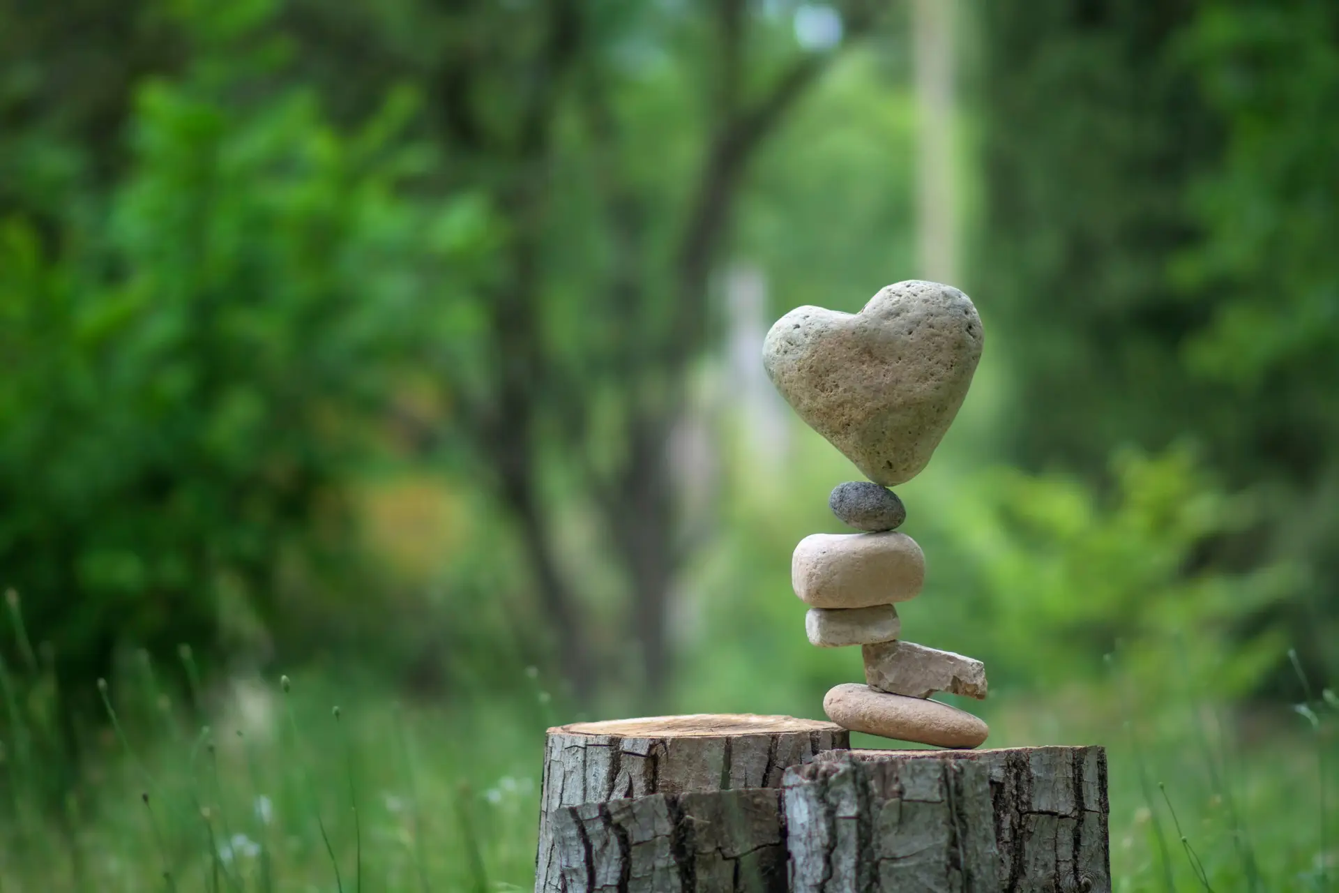 heart in nature