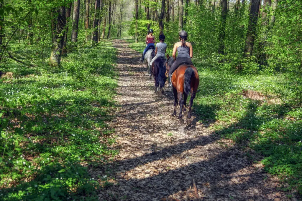 girls horseback riding